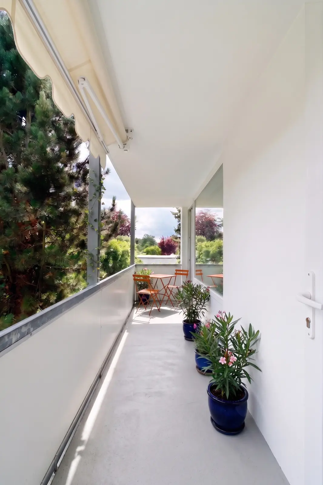 A narrow balcony with a small table and two chairs, plants in blue pots and a view of the greenery and trees outside.